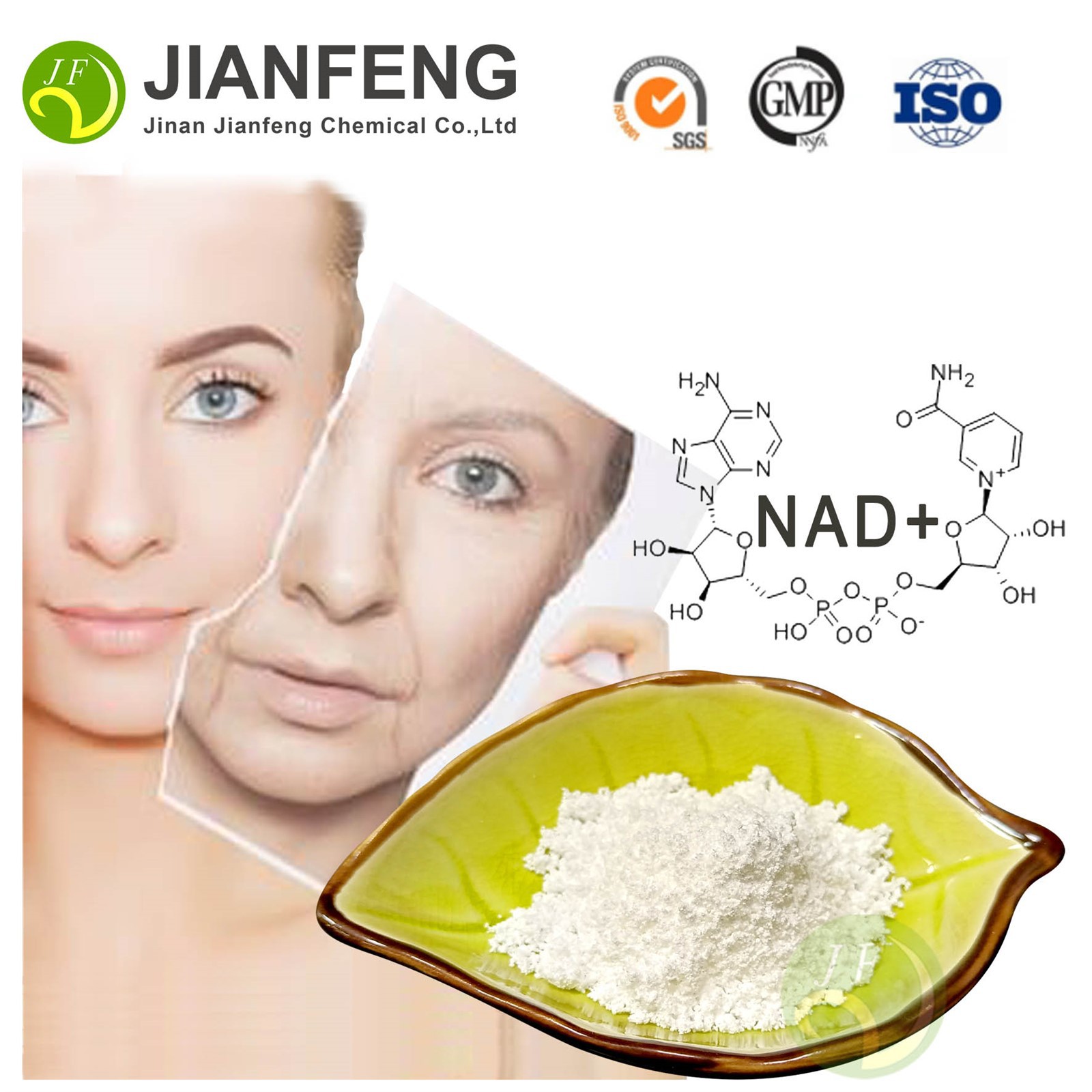 Nicotinamide Adenine Dinucleotide