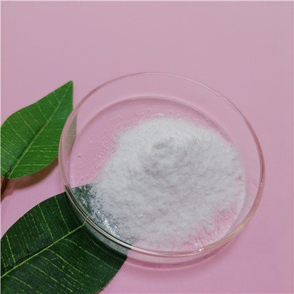 Entecavir Powder CAS 209216-23-9