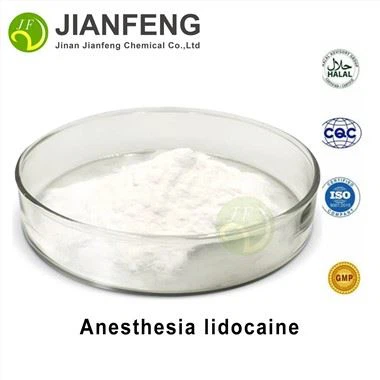 Anesthesia Lidocaine