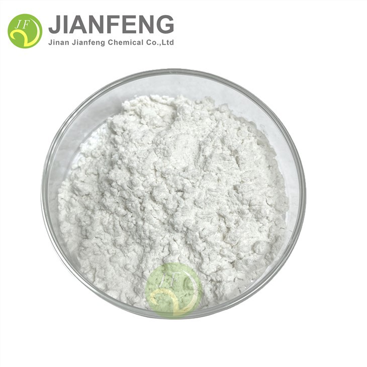 Choline Alfoscerate Powder