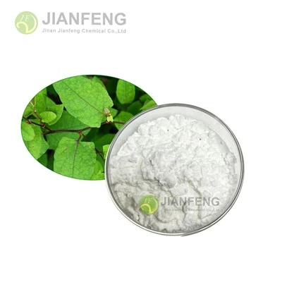 Giant Knotweed Extract