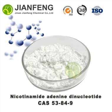Nicotinamide Adenine Dinucleotide