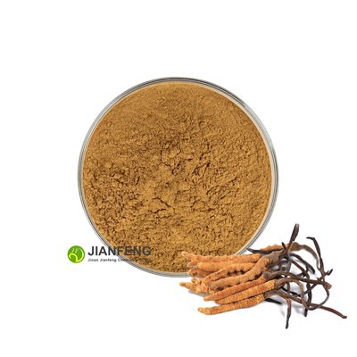 Cordyceps Extract Powder