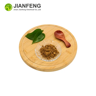 Factory Supply Mushroom Extract