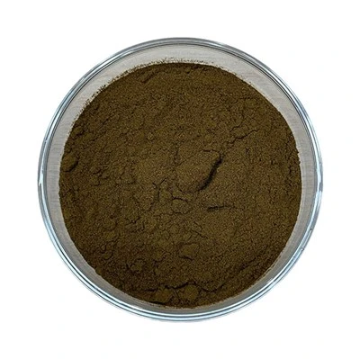 Raw Black Currant Extract Powder