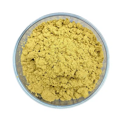 Raw Fenugreek Seed Extract Powder